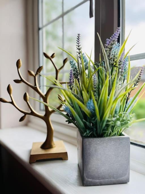 The Lake House, Woking Extérieur photo